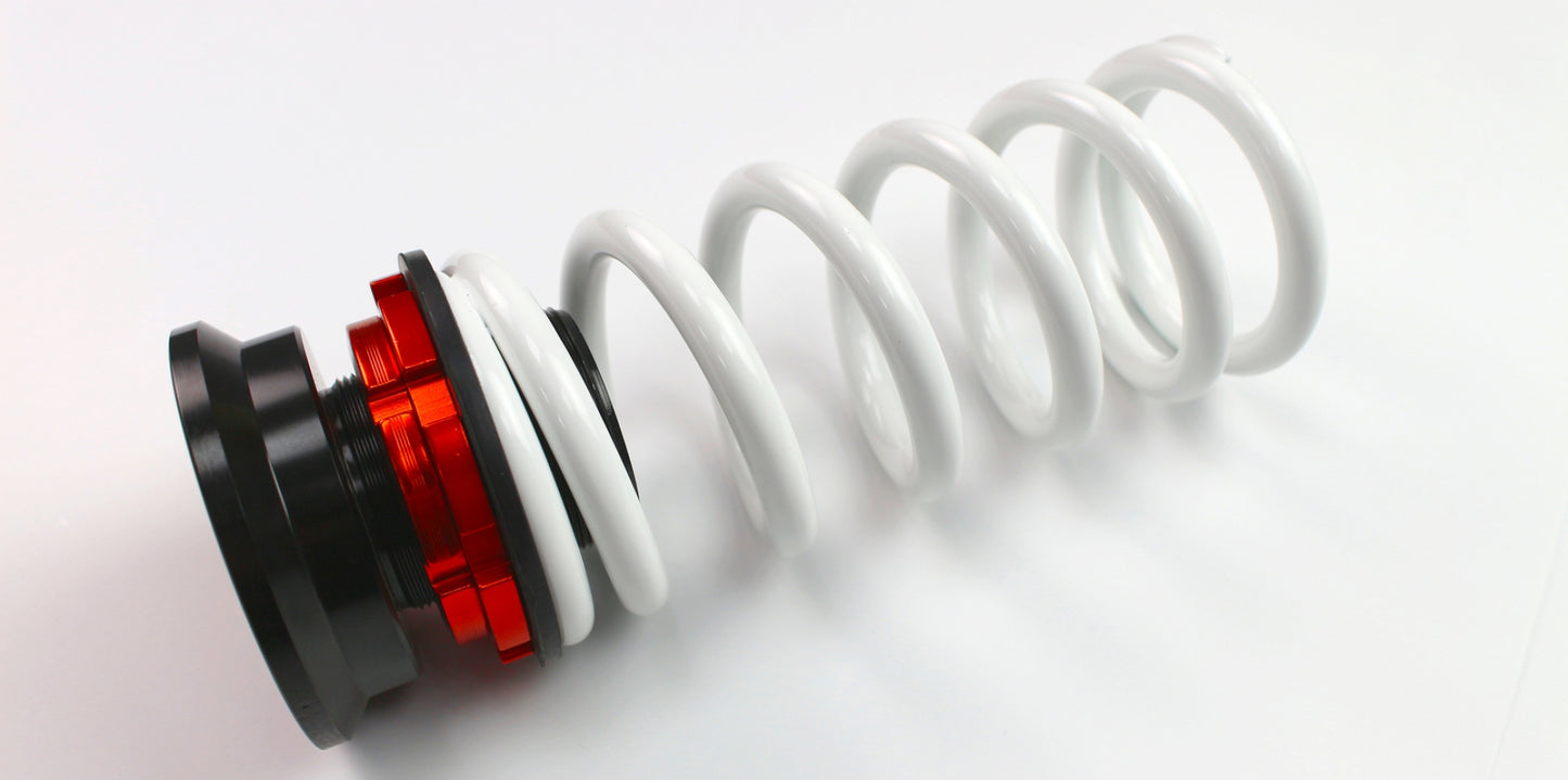 DGR Coilovers Honda S2000 99~09