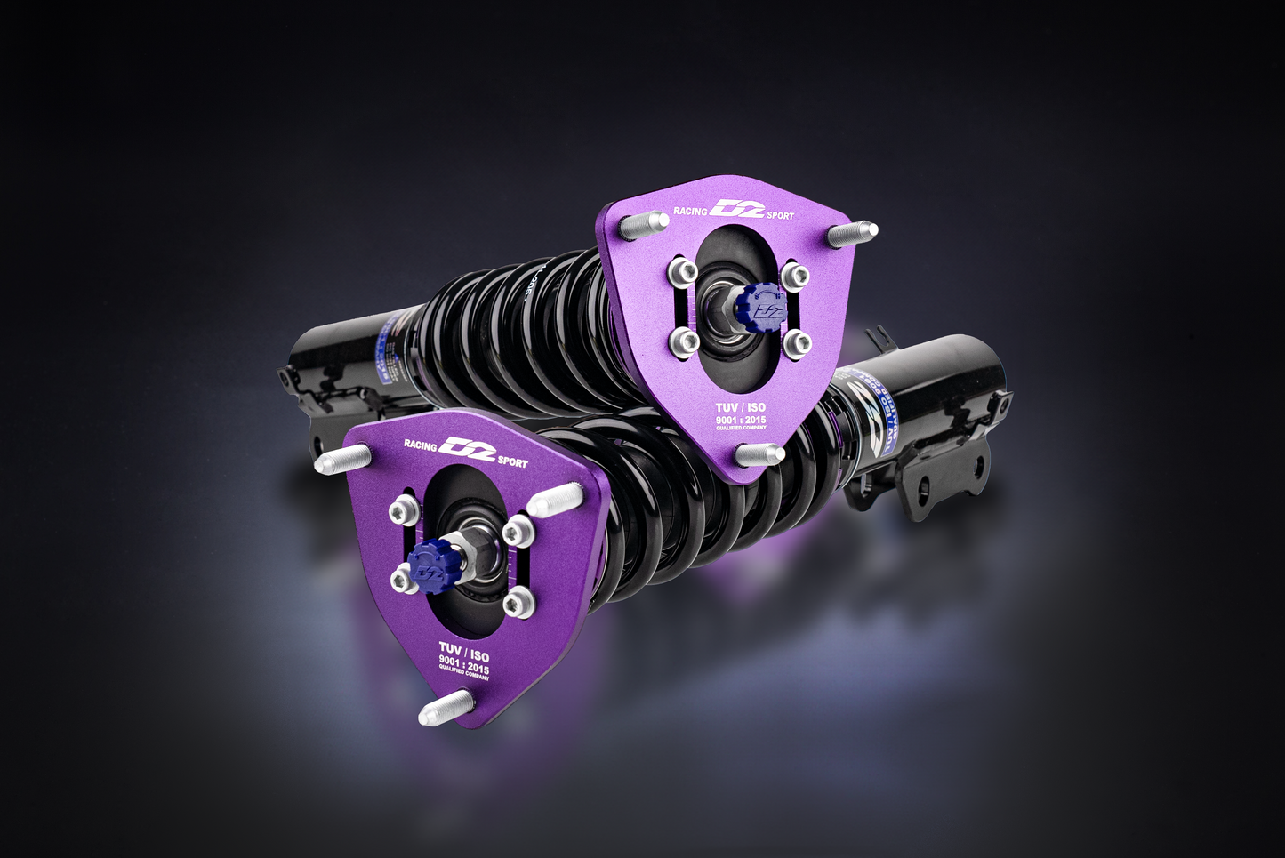 D2 Adjustable Coilovers - Drift