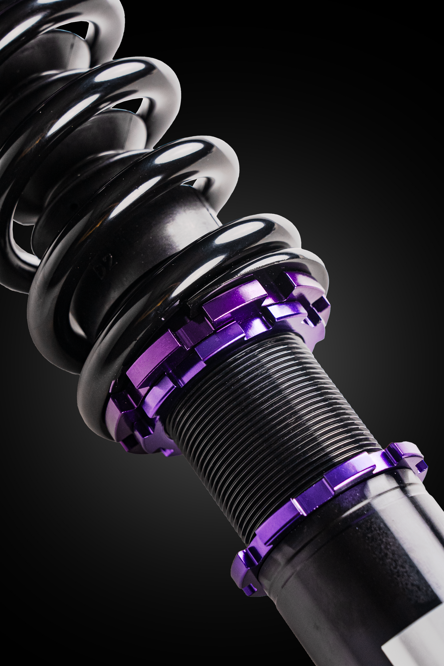 D2 Adjustable Coilovers - Super Sport