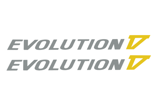 Mitsubishi Lancer Evo 5 Door Decal Yellow (Pair) - Stickers